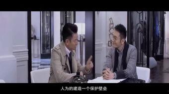 国产gay,多元文化的探索与呈现  第3张