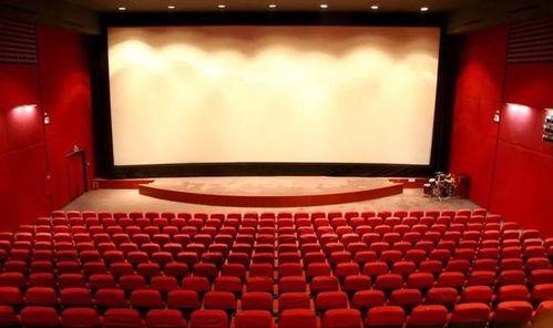 成人国产影院  第2张